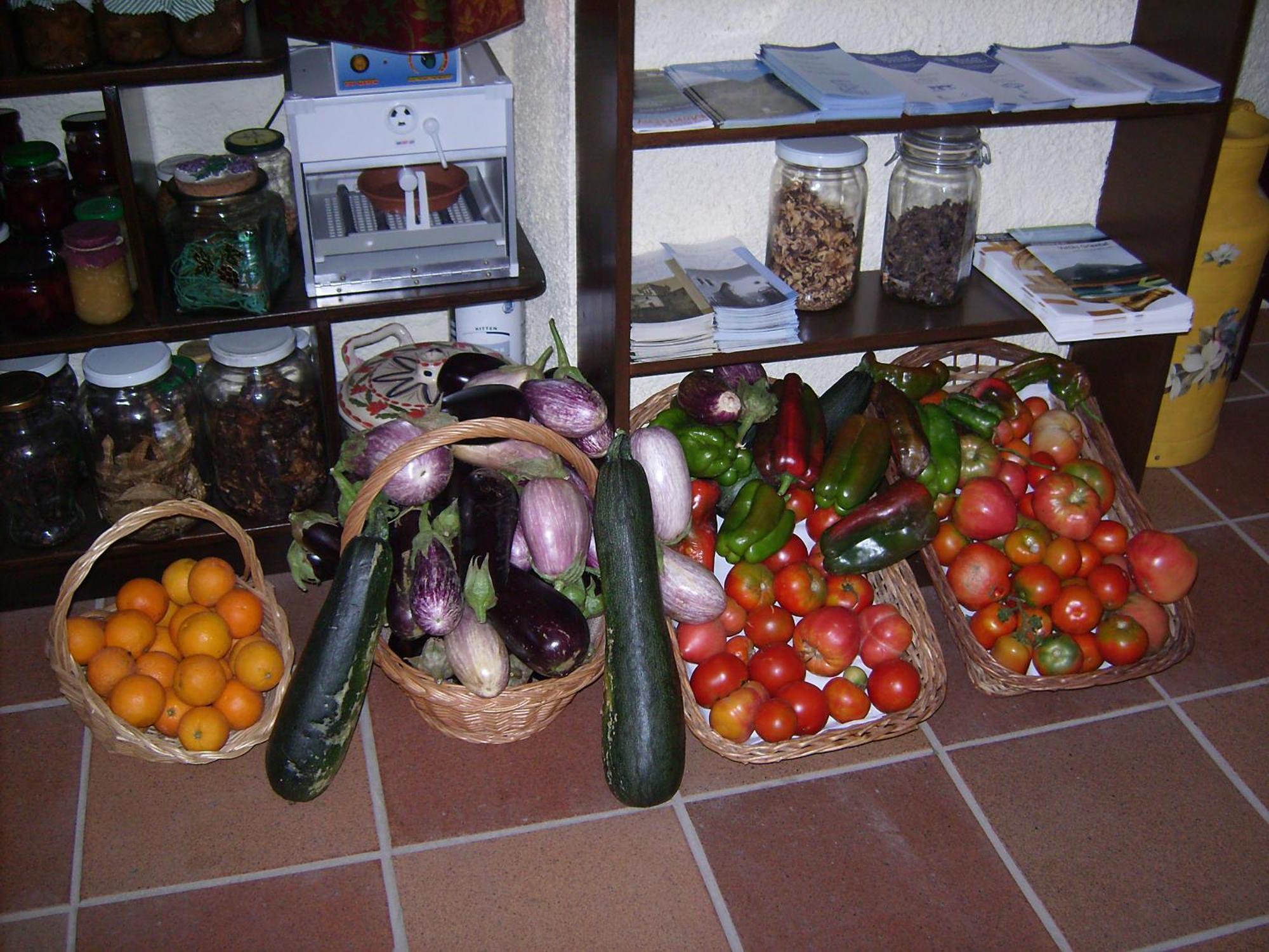 Masia Can Felip B&B Llinars del Valles Exterior foto