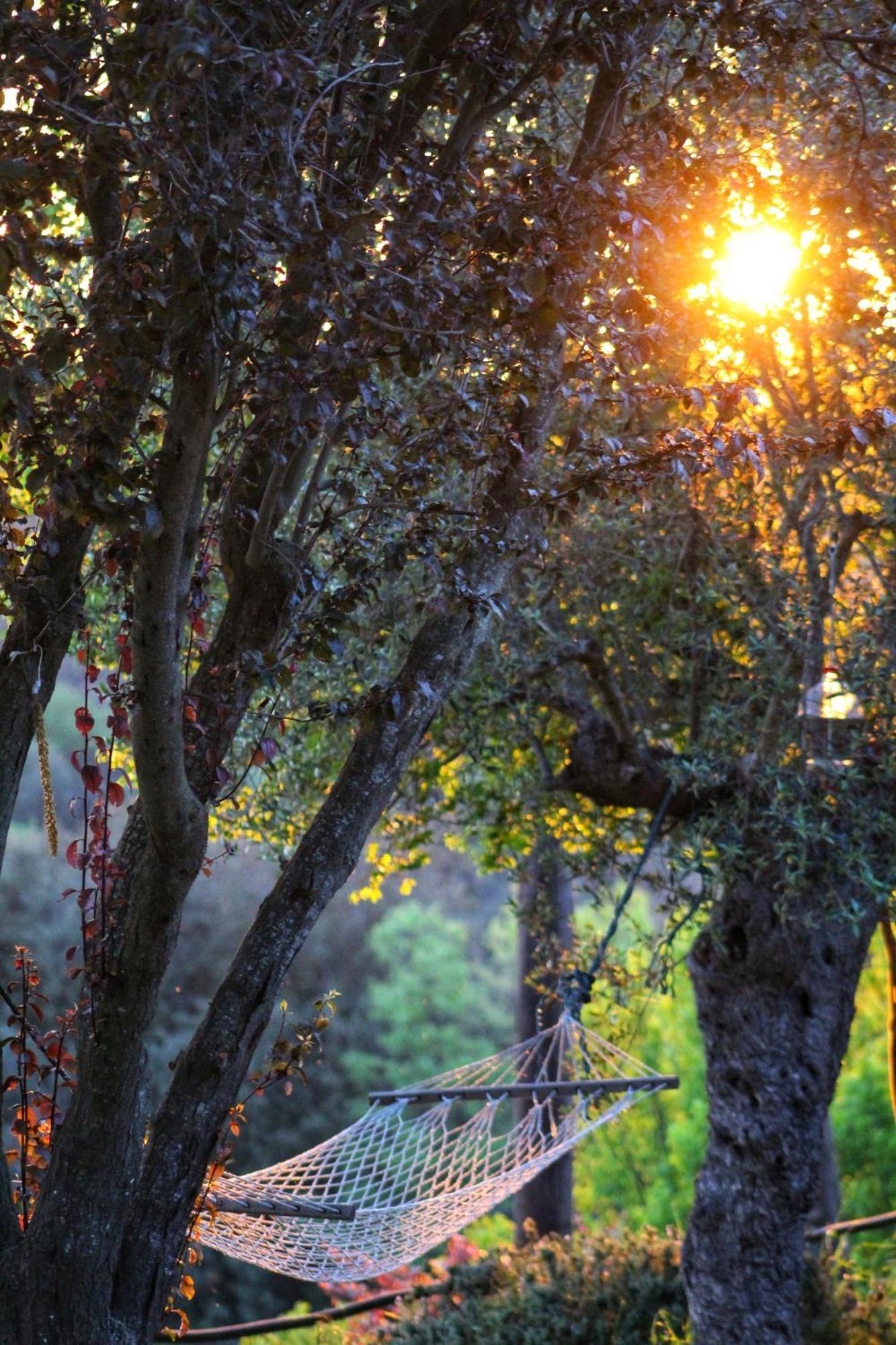 Masia Can Felip B&B Llinars del Valles Exterior foto